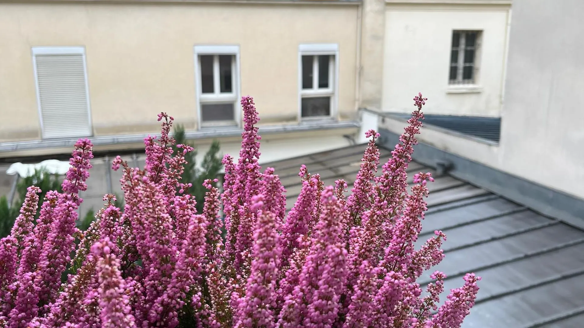 Oberkampf By Edelsam 21 Apartment Paris